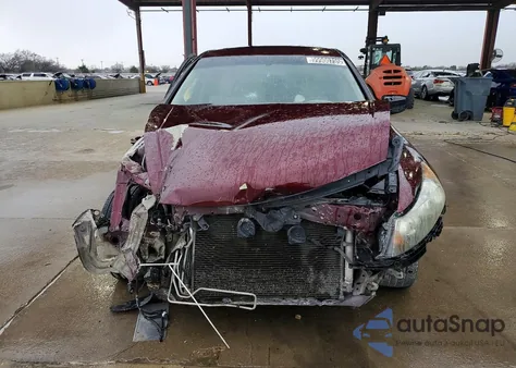 2010 Honda Accord Exl из США, поврежденный, VIN 1HGCP2F83AA173722